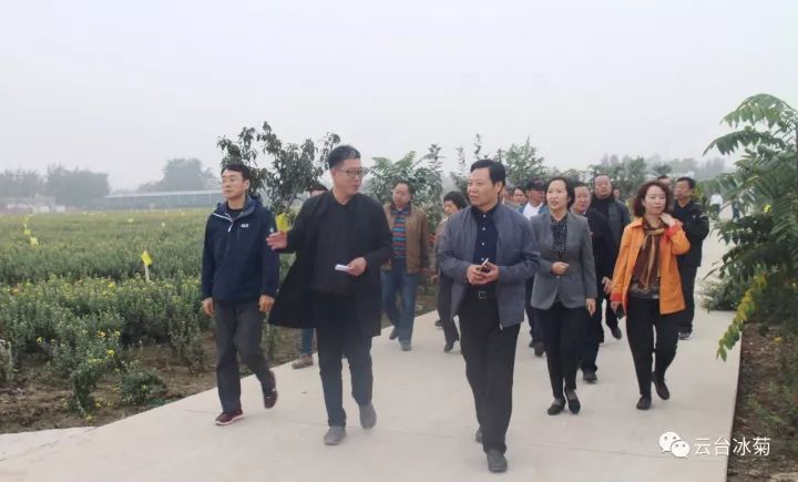 云臺(tái)冰菊基地發(fā)生了什么？一批批領(lǐng)導(dǎo)專家團(tuán)隊(duì)前來(lái)！