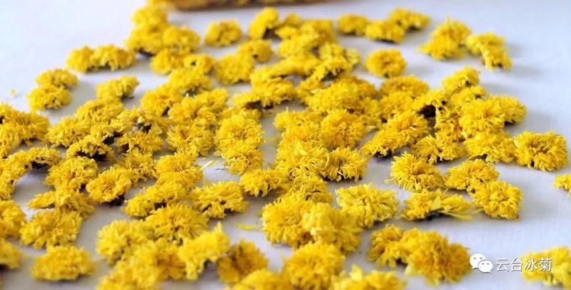 2018，種下希望，靜待花開(kāi)！